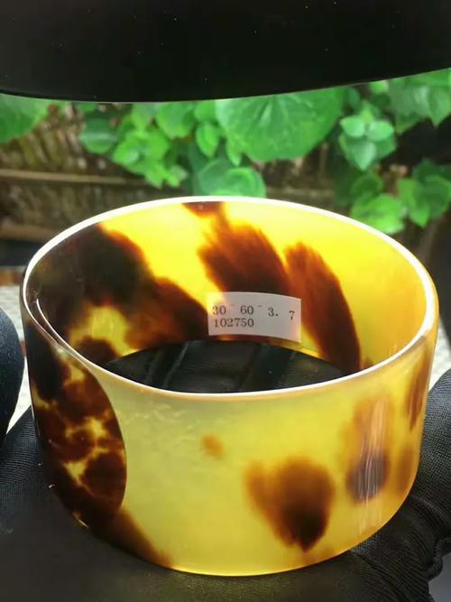 南海工艺批发 从工厂直达的大海海底系列工艺品